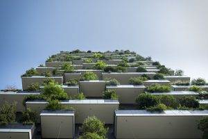 blok msm energetyka